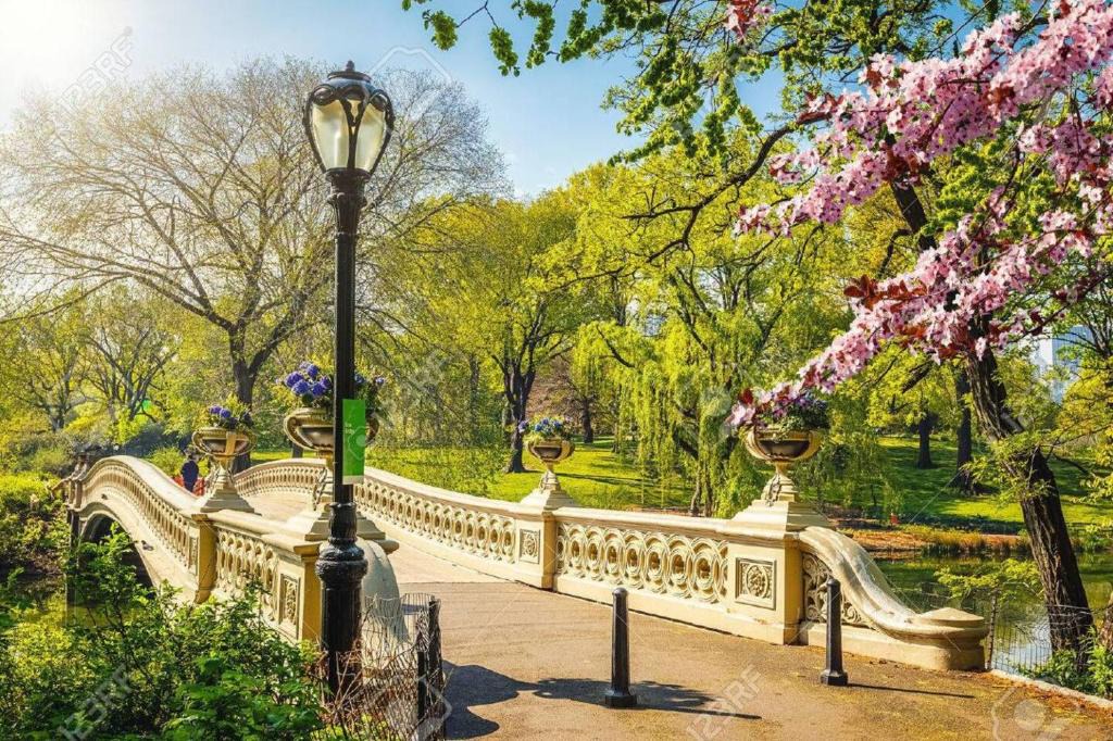 Upper East Side Apartment | Designer Duplex near Central Park
