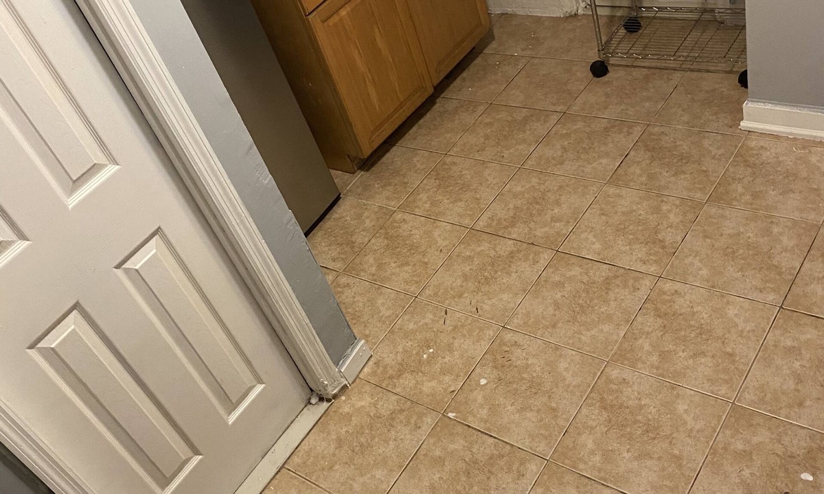 Baychester House | Spacious Basement Apartment sleeps 3 people