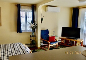 Spacious, Private, Ocean-Side Brooklyn Studio with Garden Access and Parking