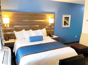 Comfort Inn Stadium | Highbridge