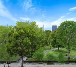 Park 
