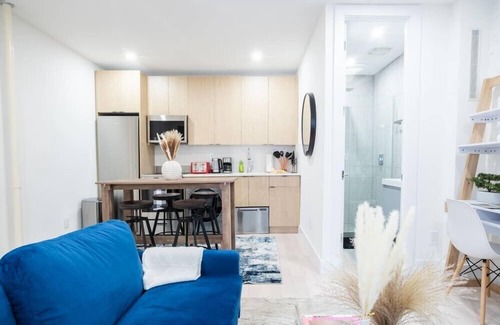 Ukrainian Village Apartment | 180-2 Brand new 2BR/1Bath East Village