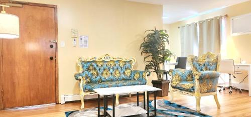 Jamaica Hills Apartment | Modern Two Bedroom Apartment Jamaica Queens, NYC