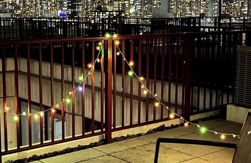 Hunters Point Apartment | 5 mins to Midtown Central Luxury Penthouse 2b2b Duplex with Private Terrace