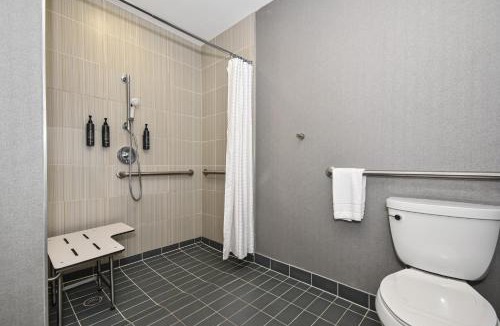 Hunters Point Hotel | Aloft Long Island City-Manhattan View