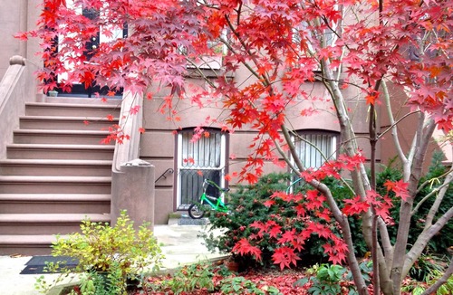 Carroll Gardens Apartment | Carroll Gardens, Brownstone 2 Bedroom with garden, one block to F/G station