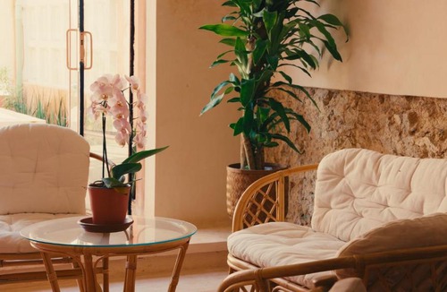 Centro Bed & Breakfast | Casa Sofía Centro