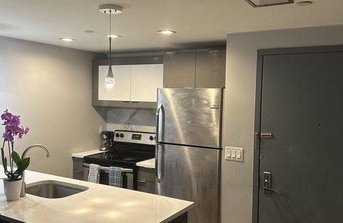 Flatbush Apartment | Cozy Brooklyn luxe apartment. contact me for short stays.