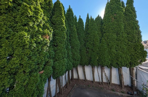 Arrochar House | Cozy Staten Island Escape: 3-Bedroom Home with Complimentary WiFi & AC