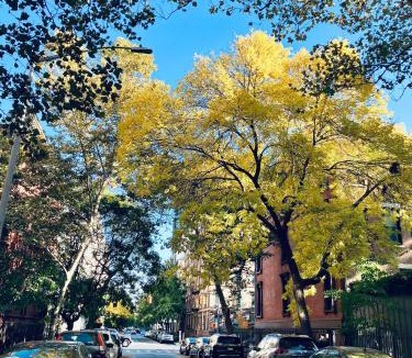 Central Park North Bed & Breakfast | Harlem Grand