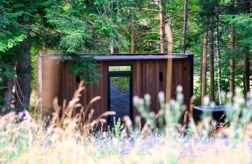 Windham Cabin | Iconic Glass Mirror Cabin · Forest View · Private Fire Pit · Catskills Hideaway