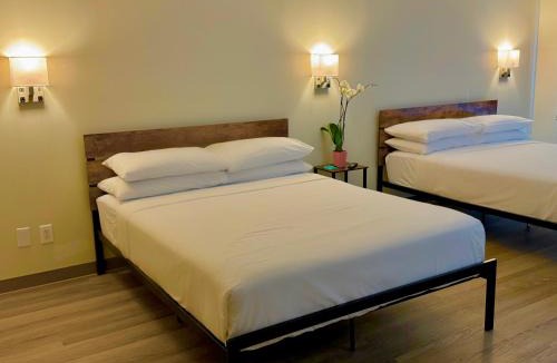 Queens Hotel | Nova Hotel JFK