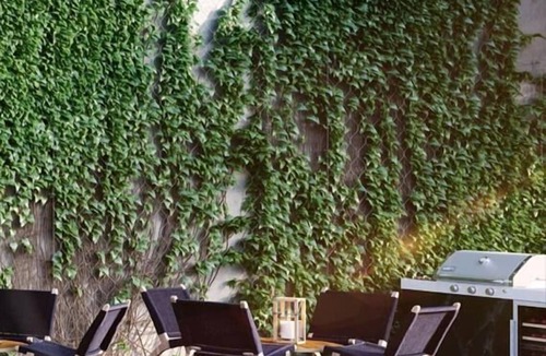 Sutton Place Apartment | Stunning new 1BR | Deck + Lounge | Upper East Side