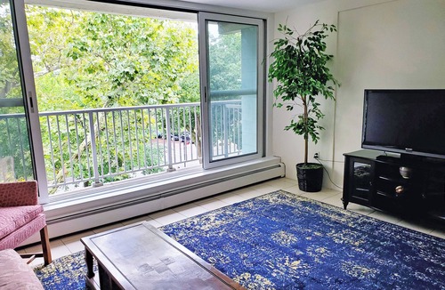 Queens Apartment | Sunny 1-bedroom apartment in Bayside, close to restaurants, shops, and train.