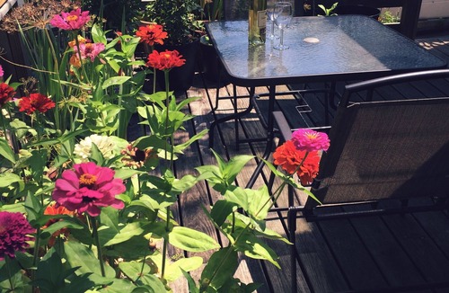 Briarwood Apartment | Sunny, Contemporary 1 Bedroom Apartment With Large Patio