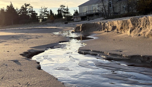 Sandy Bottom: Summer Beachfront Bliss | Swim, Kayak, Relax