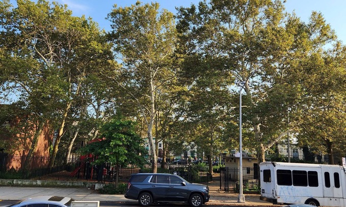 Bedford-Stuyvesant House | 2BD 1.5BA in Bedstuy, 55in tv coupled with a king and queen sized beds!