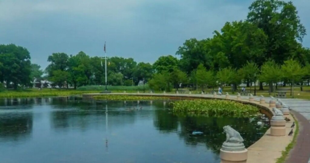 Photo of Outdoor in South Jamaica