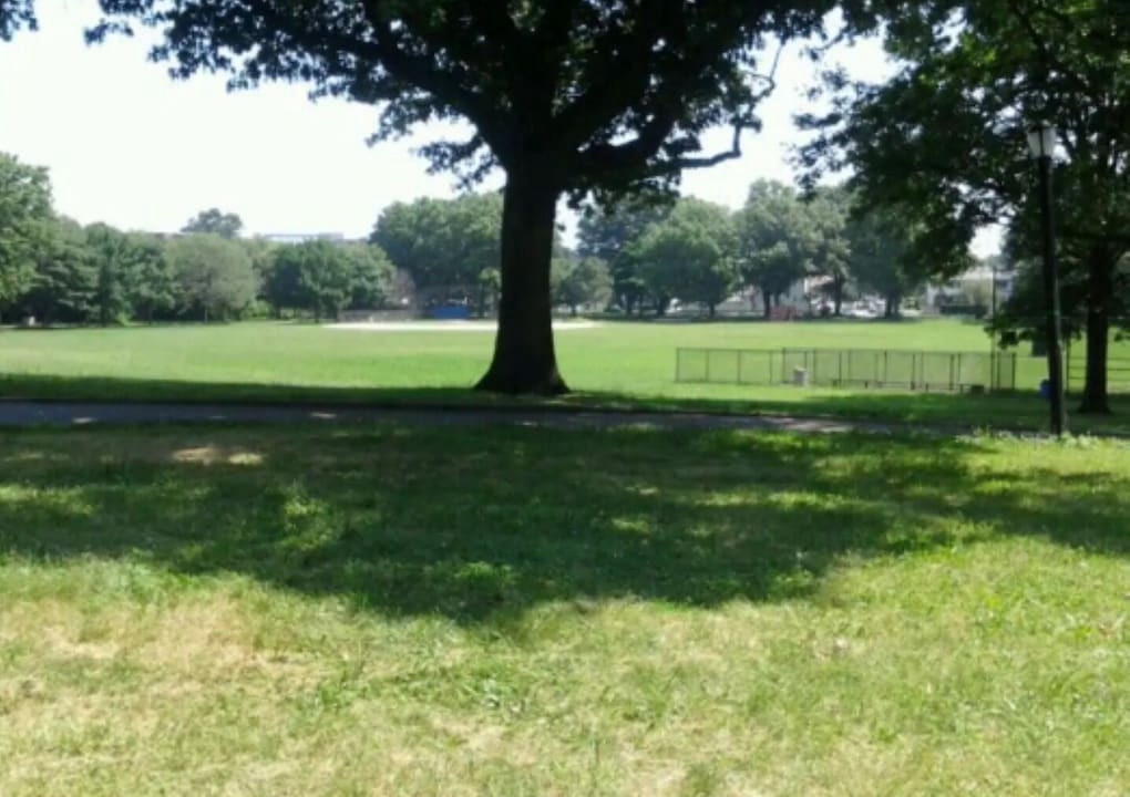 Photo of Outdoor in South Jamaica