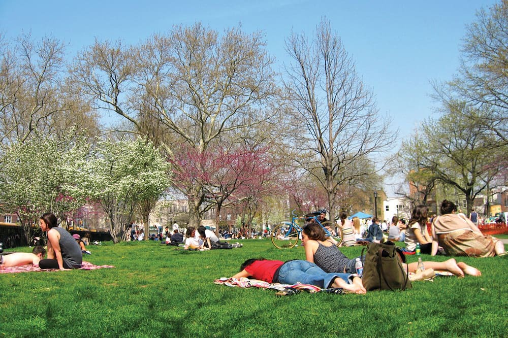 Photo of Others in Greenpoint