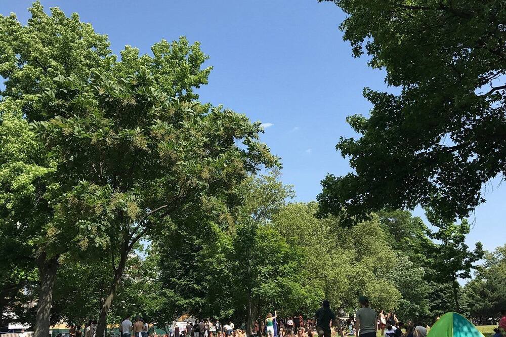 Photo of Outdoor in Greenpoint