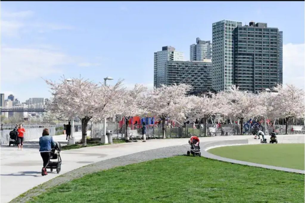 Photo of Outdoor in Hunters Point