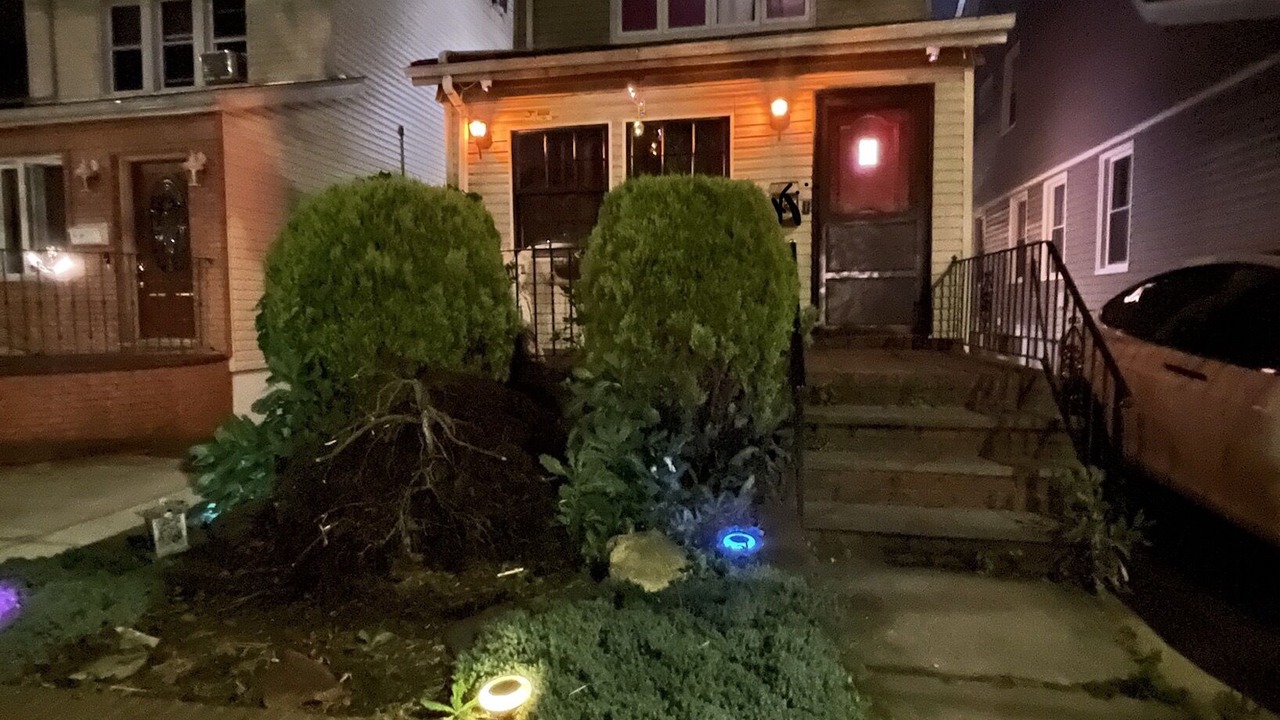 Photo of Outdoor in Queens