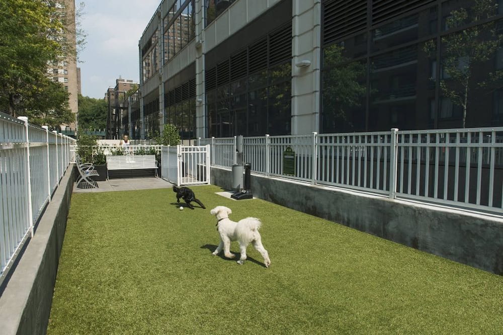 Photo of Outdoor in Manhattan Valley