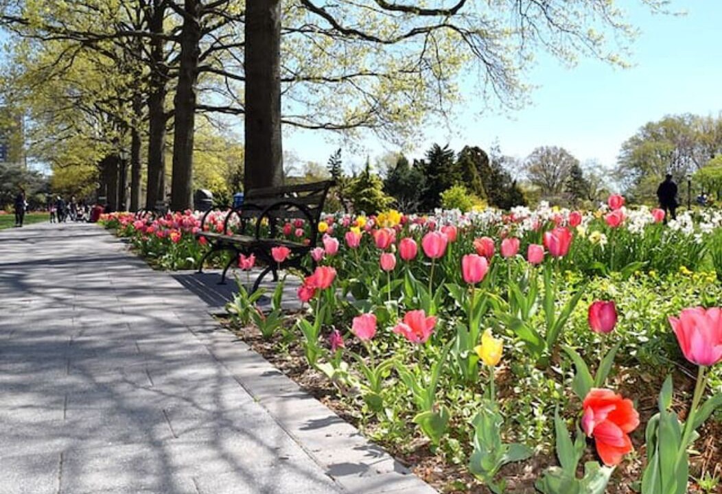 Photo of Outdoor in East Flushing