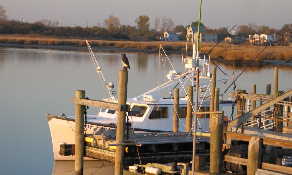 Photo of Others in Broad Channel