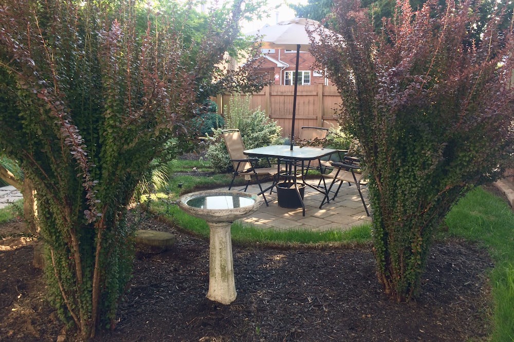 Photo of Outdoor in Queens