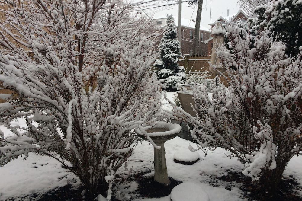 Photo of Outdoor in Queens