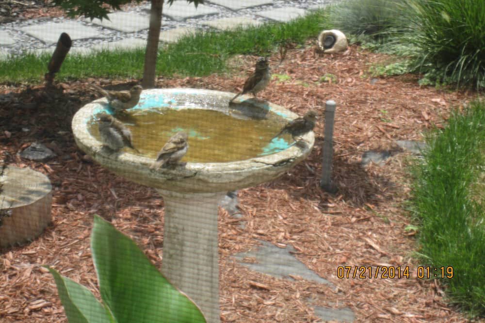 Photo of Outdoor in Queens