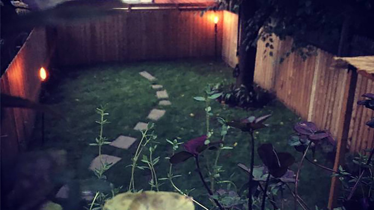 Photo of Outdoor in Bedford-Stuyvesant