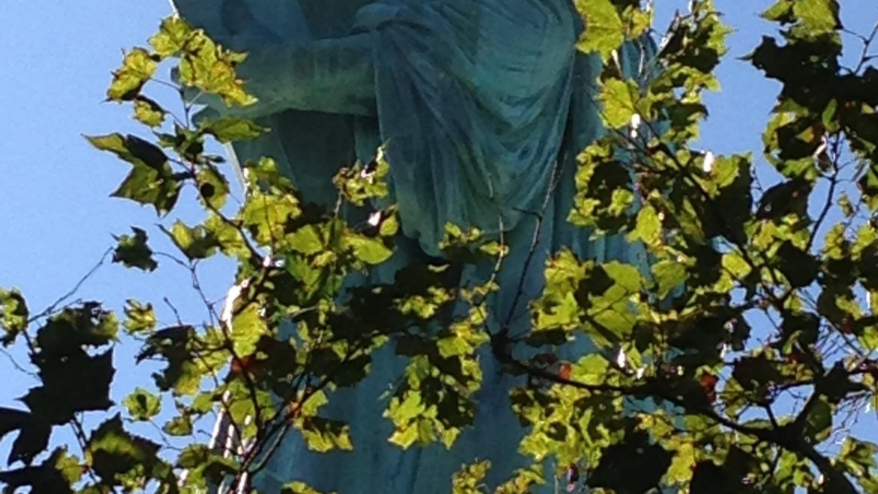 Photo of Outdoor in Bay Ridge