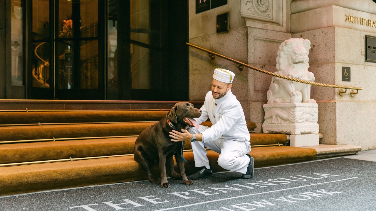 Photo of Others in Central Park South
