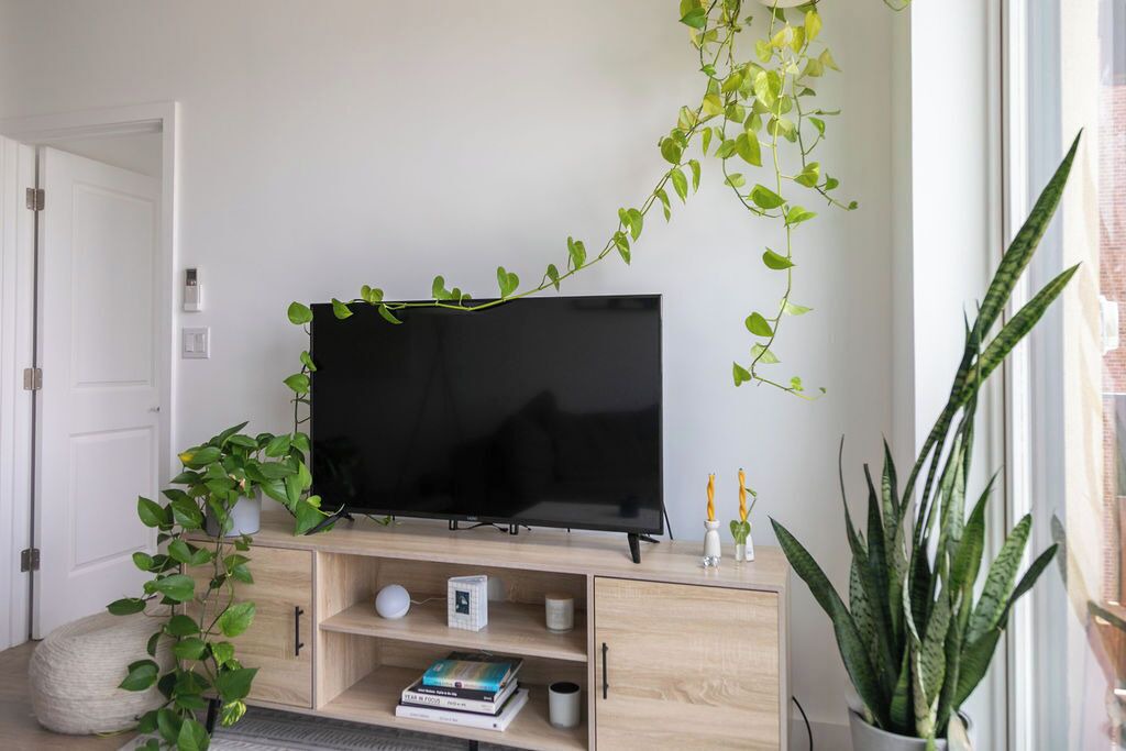 Photo of Livingroom in Bushwick
