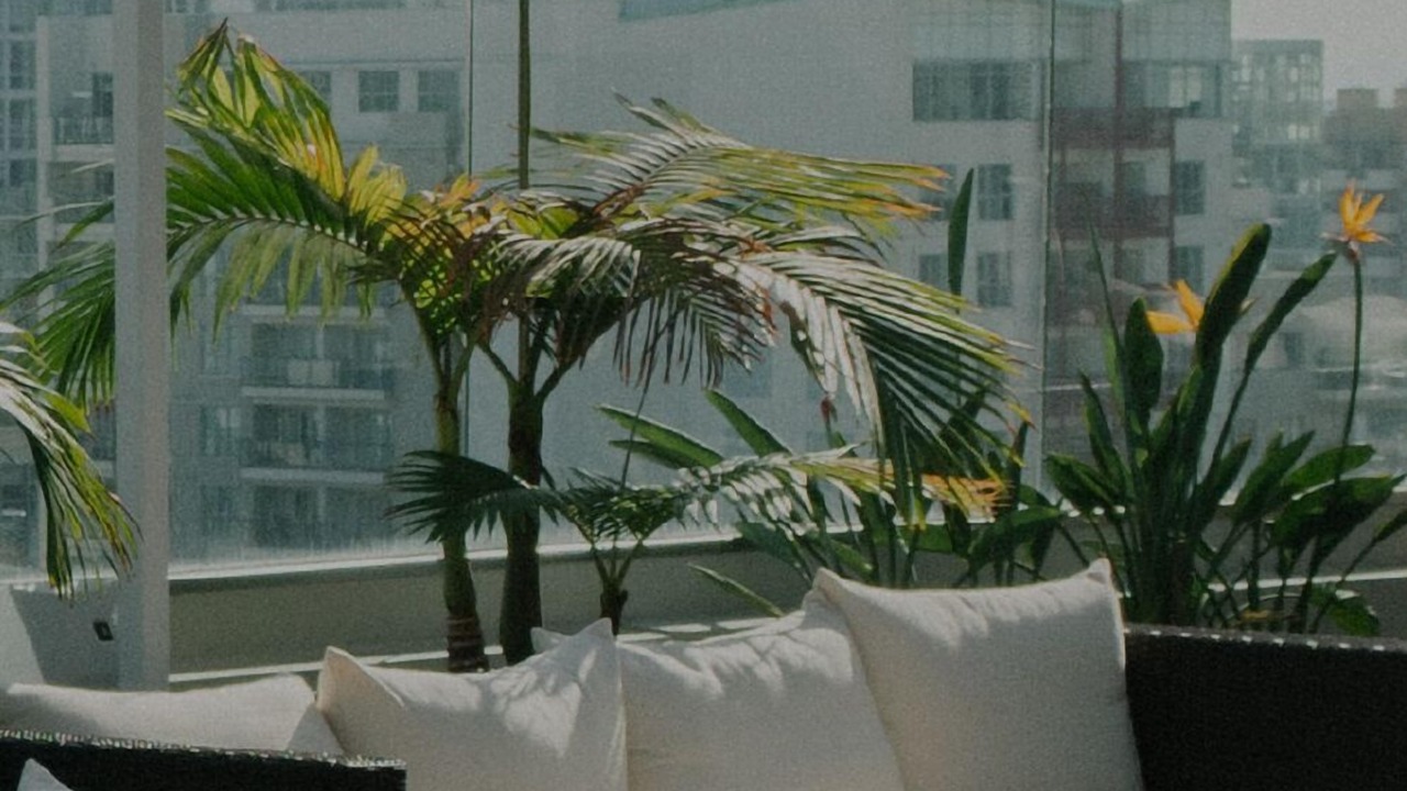 Photo of Outdoor in East Village