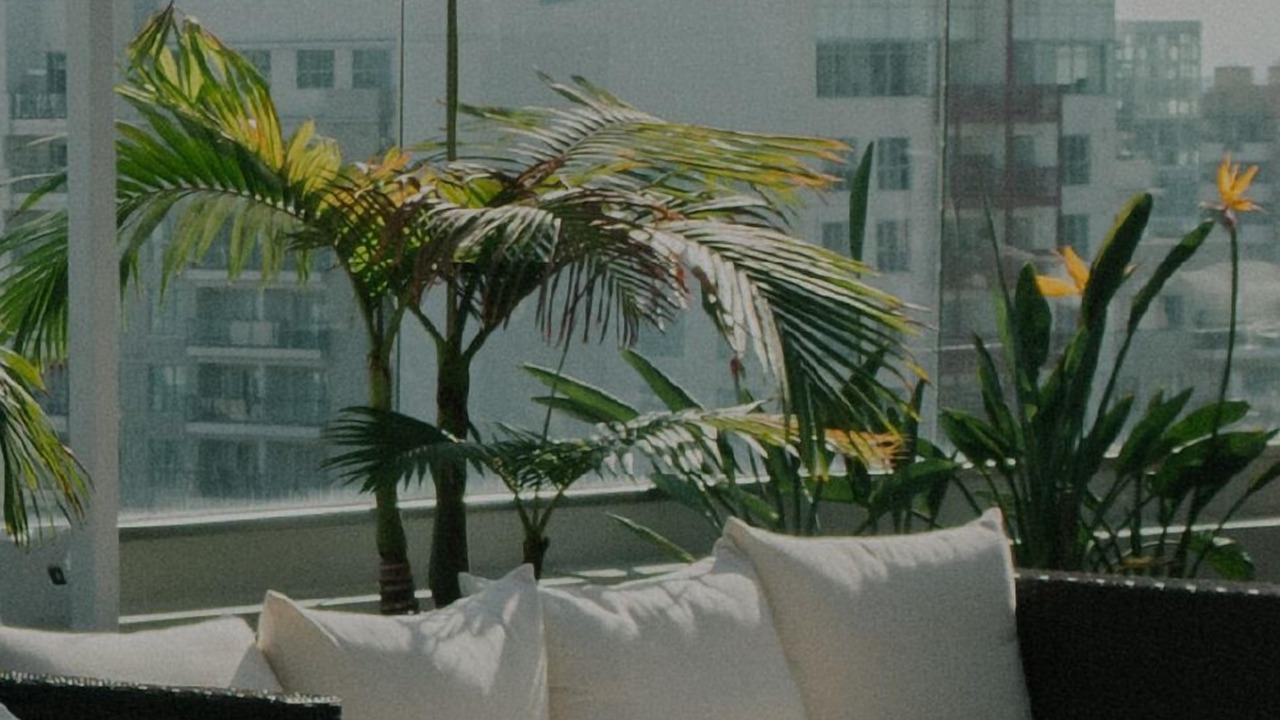 Photo of Outdoor in East Village