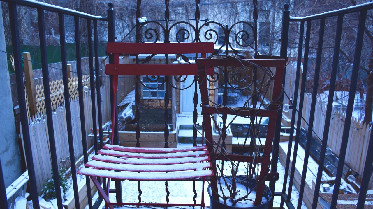 Photo of Outdoor in Bushwick