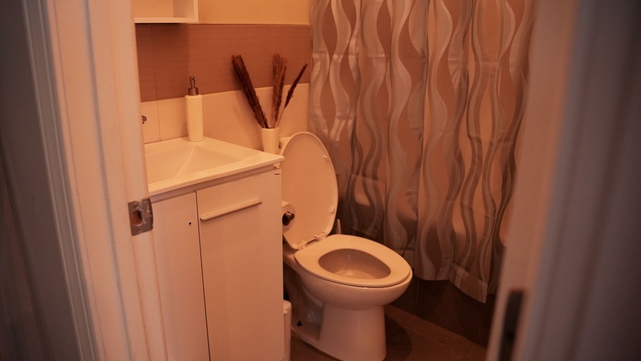Photo of Bathroom in Bushwick
