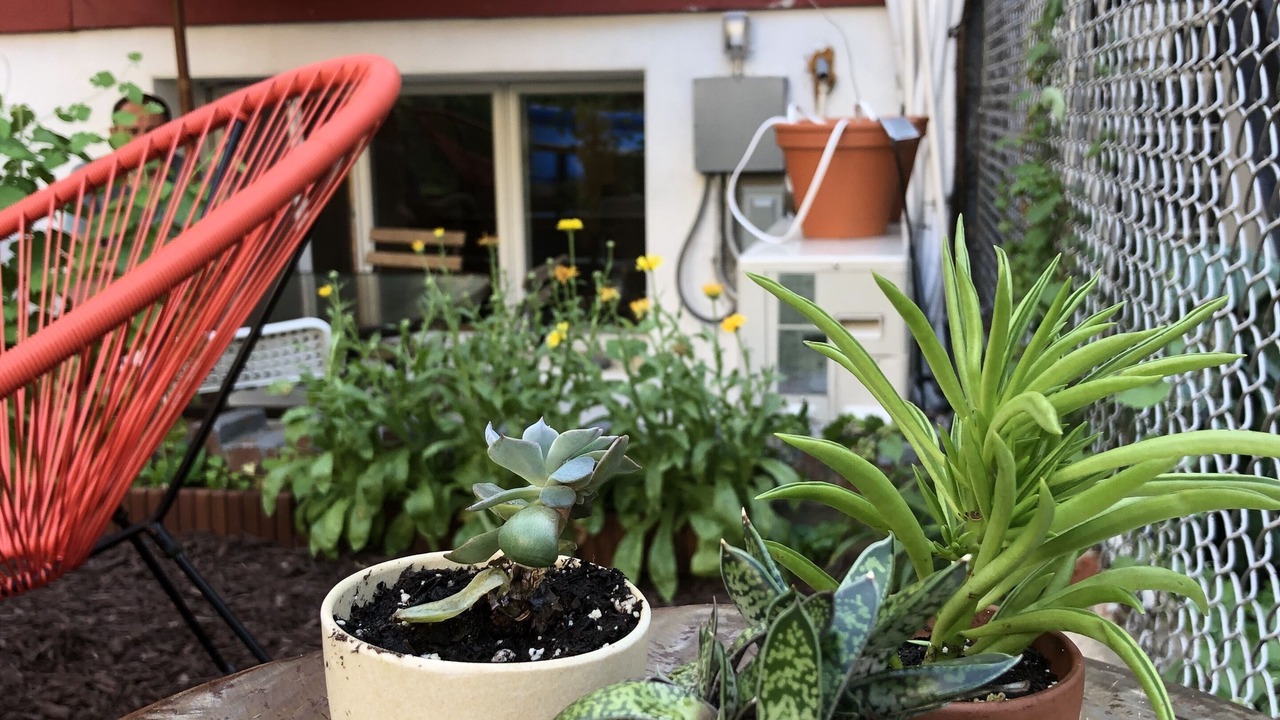 Photo of Outdoor in Greenpoint