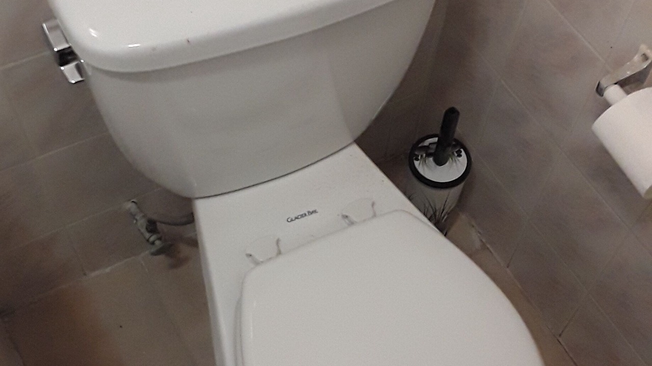Photo of Bathroom in Pelham Gardens