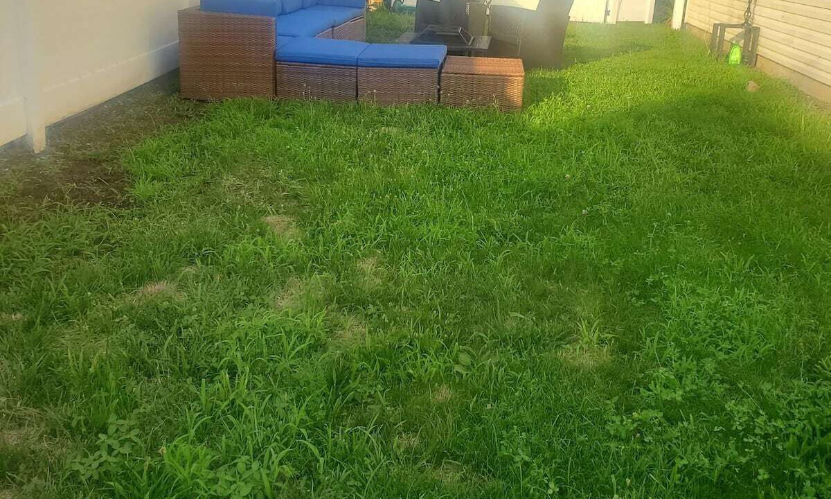Photo of Outdoor in East New York