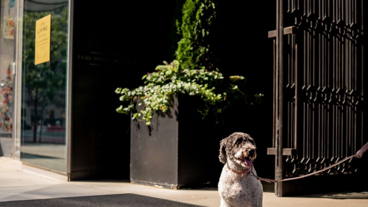 Photo of Outdoor in Central Park South