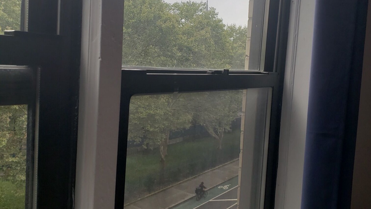 Photo of Others in Chelsea