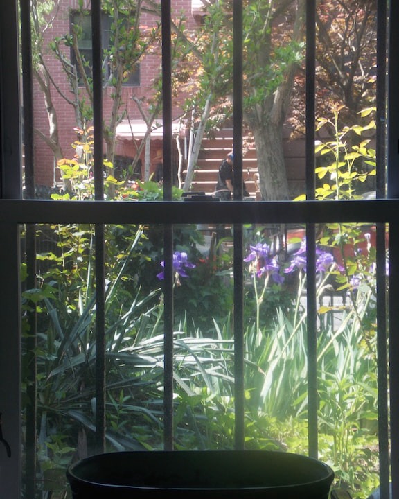 Photo of Others in Carroll Gardens