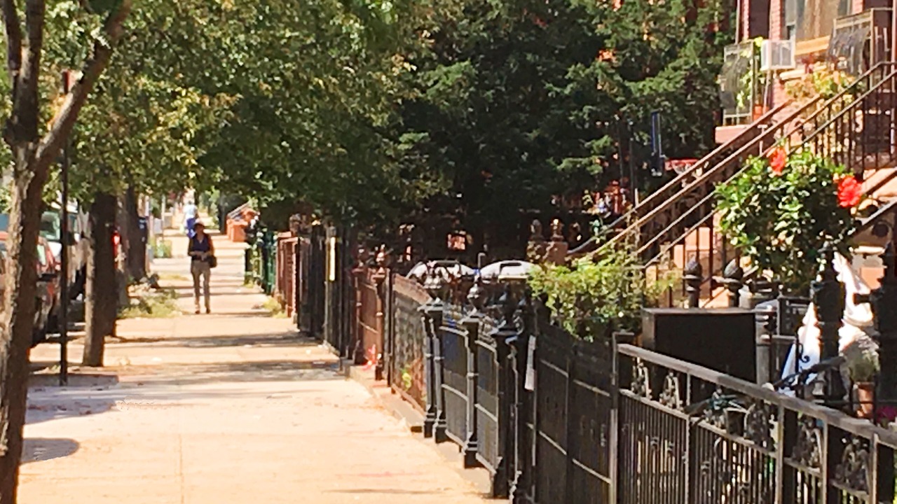 Photo of Outdoor in Bedford-Stuyvesant