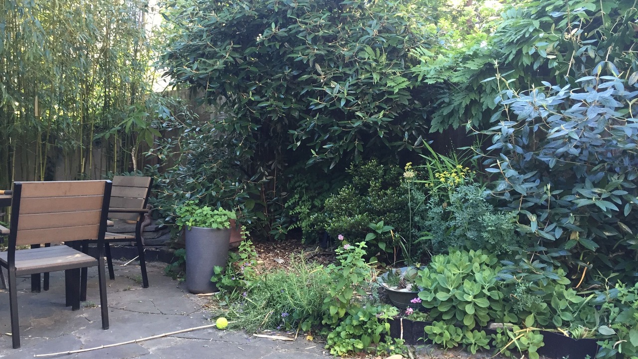 Photo of Patio Balcony in Carroll Gardens