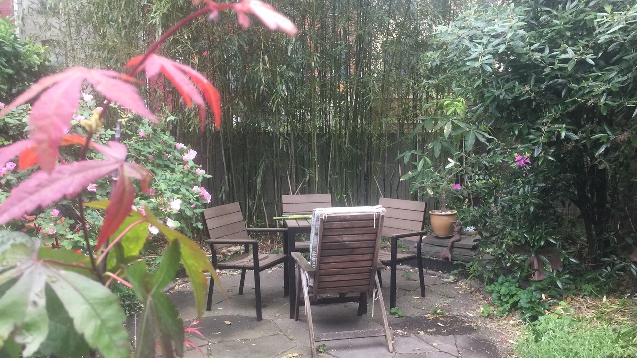 Photo of Outdoor in Carroll Gardens